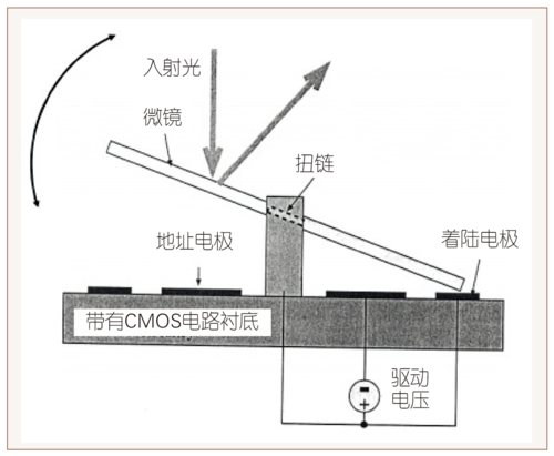 鲍海飞图1